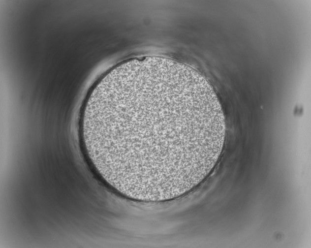 X0000101980006200808151411