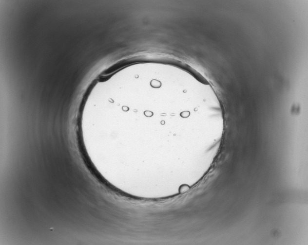 X0000101980007200808151411