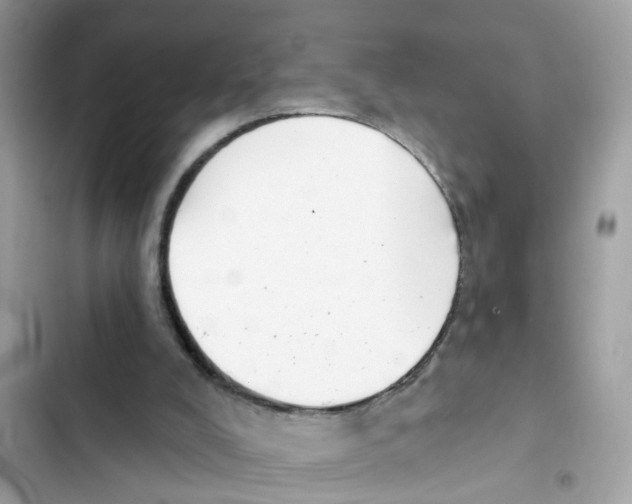 X0000101980008200808151411