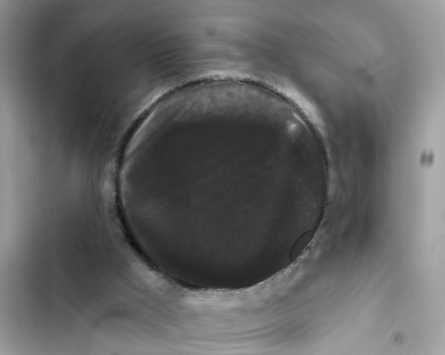 X0000101980009200808151411