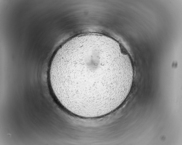 X0000101980010200808151411