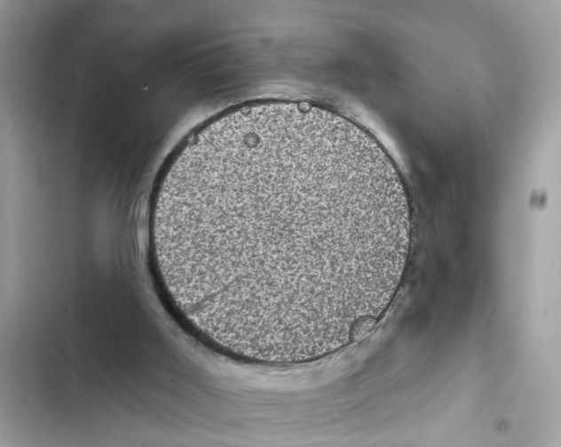 X0000101980011200808151411