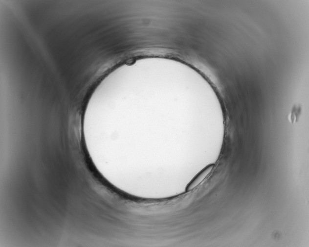 X0000101980013200808151411