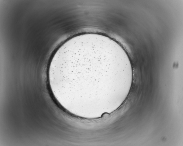 X0000101980015200808151411