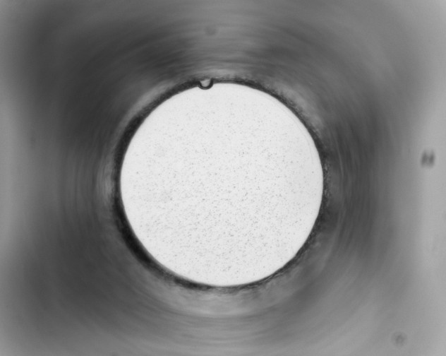 X0000101980016200808151411