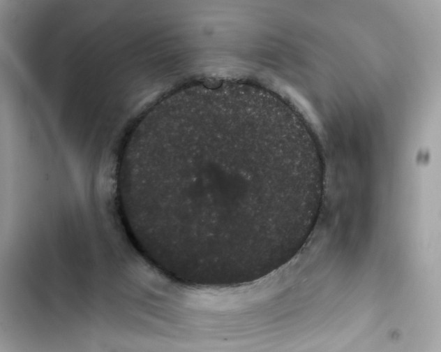 X0000101980017200808151411