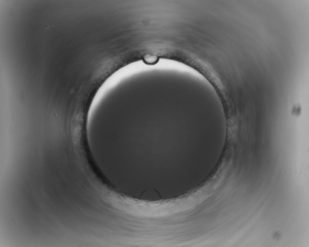 X0000101980018200808151411