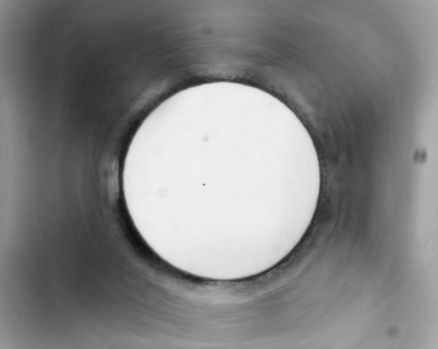 X0000101980020200808151411