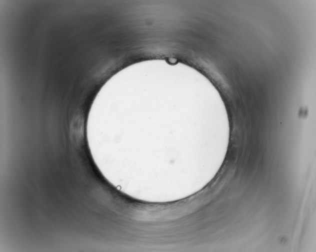 X0000101980021200808151411