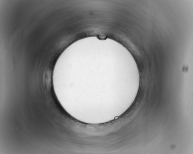 X0000101980022200808151411