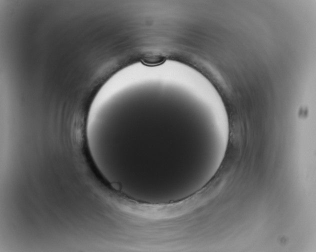 X0000101980023200808151411