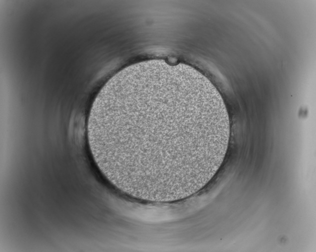 X0000101980024200808151411