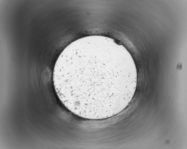 X0000101980025200808151411