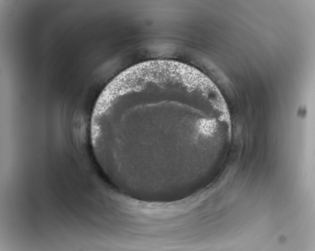 X0000101980026200808151411