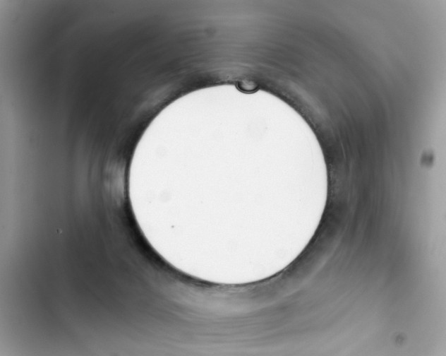 X0000101980028200808151411