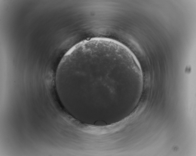 X0000101980029200808151411