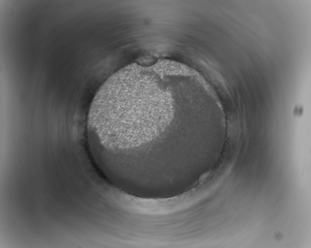 X0000101980030200808151411