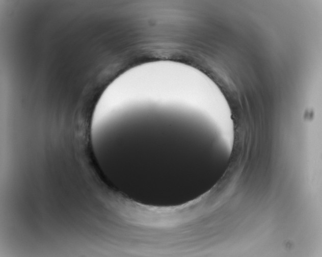 X0000101980031200808151411