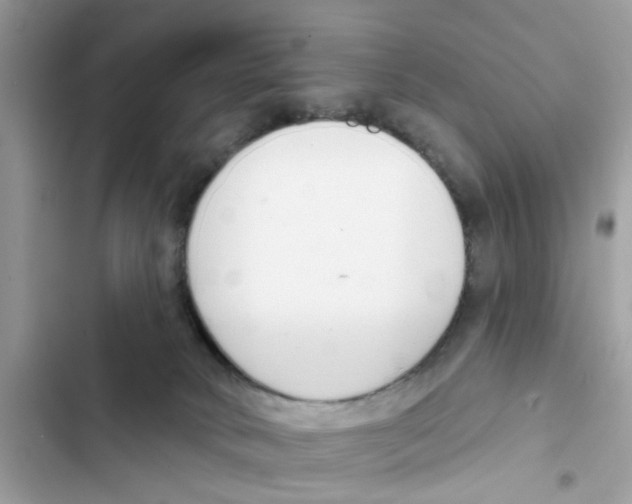 X0000101980034200808151411