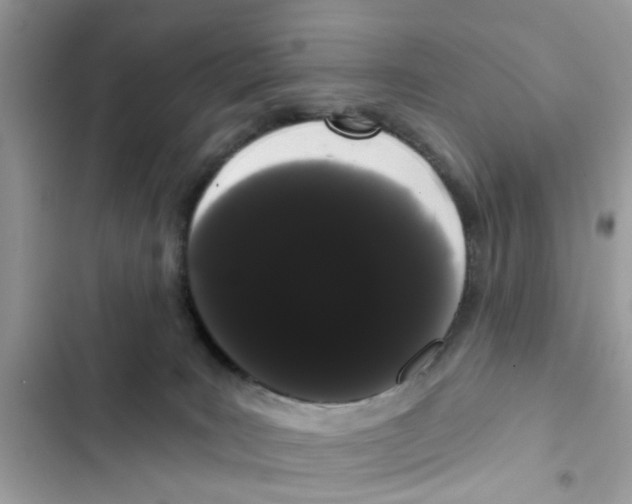 X0000101980035200808151411