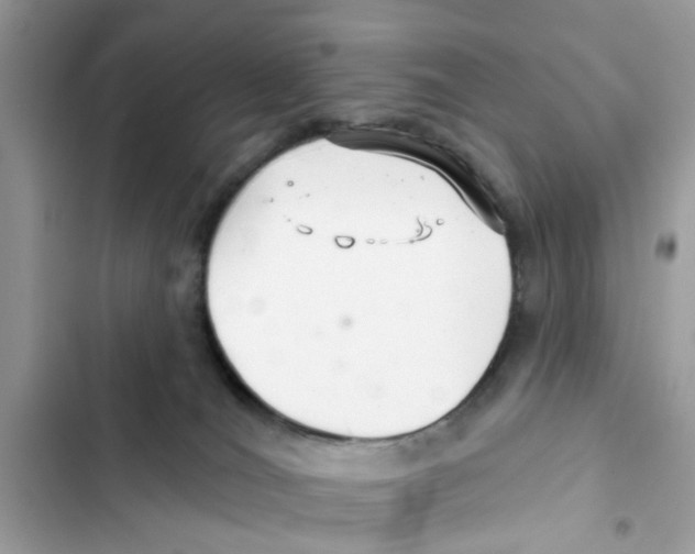 X0000101980036200808151411