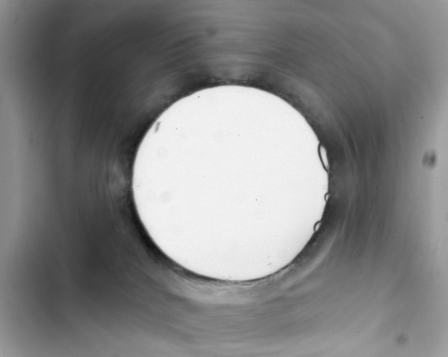 X0000101980040200808151411