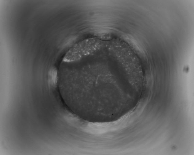 X0000101980041200808151411