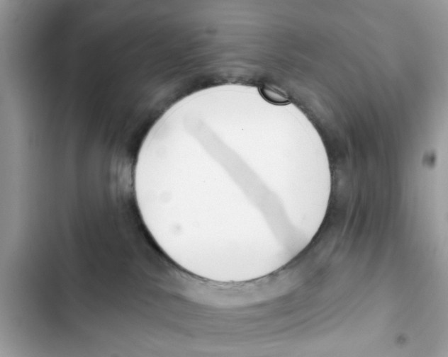 X0000101980042200808151411