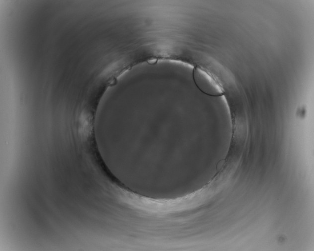 X0000101980043200808151411