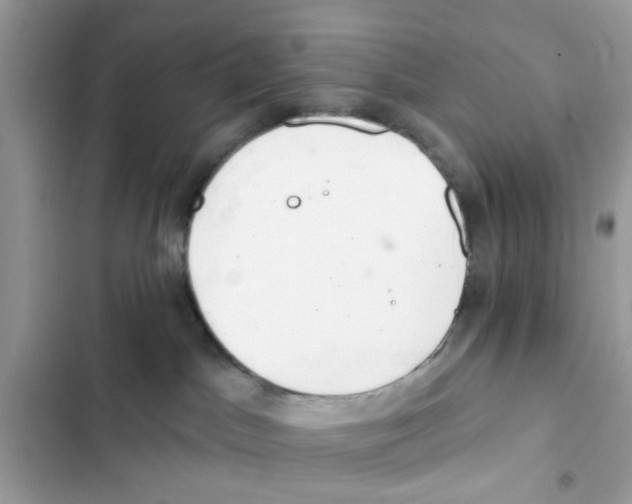 X0000101980045200808151411