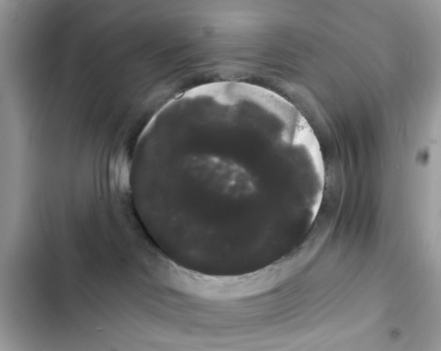 X0000101980046200808151411