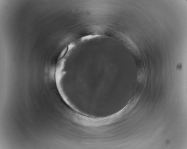 X0000101980047200808151411