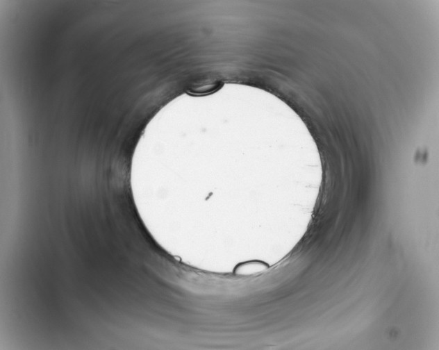 X0000101980048200808151411