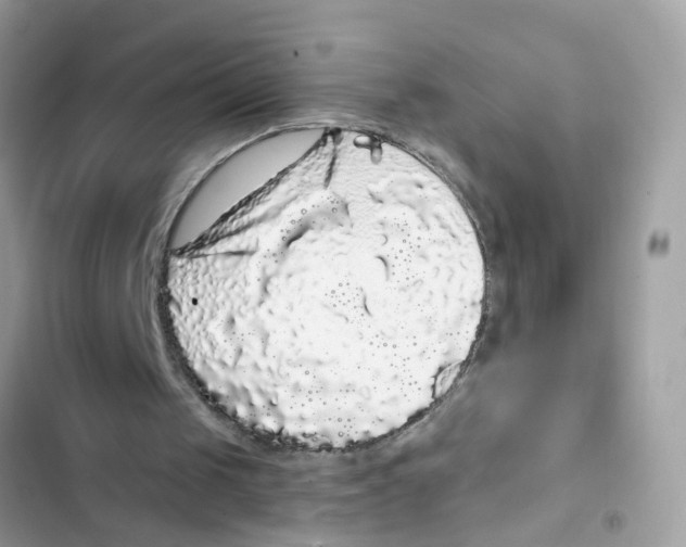 X0000101980049200808151410