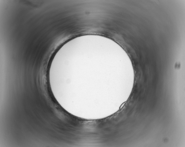 X0000101980050200808151410