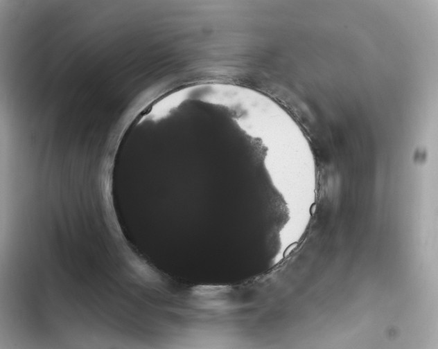 X0000101980051200808151410