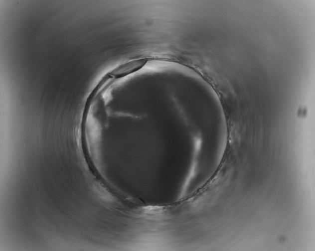 X0000101980052200808151410