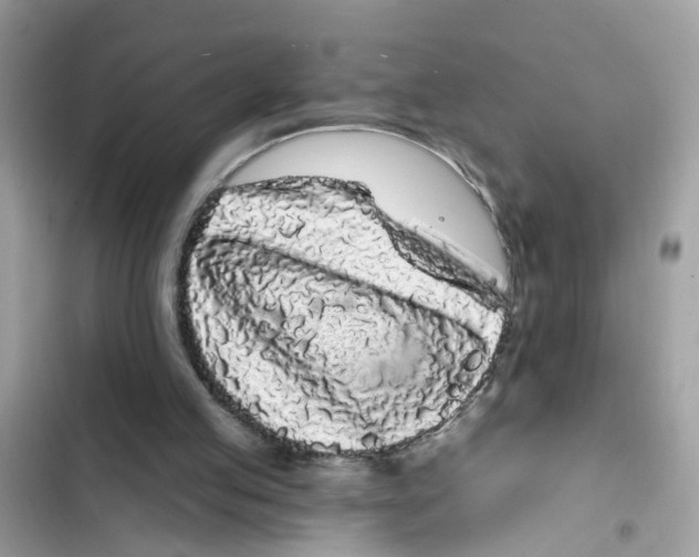 X0000101980053200808151410