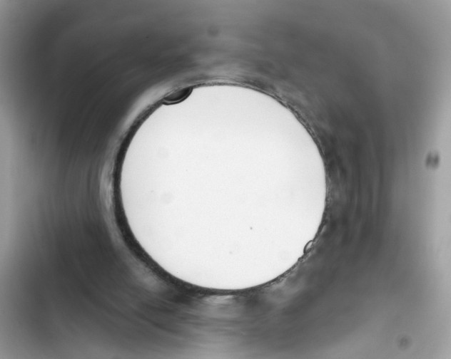 X0000101980054200808151410