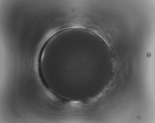 X0000101980055200808151410