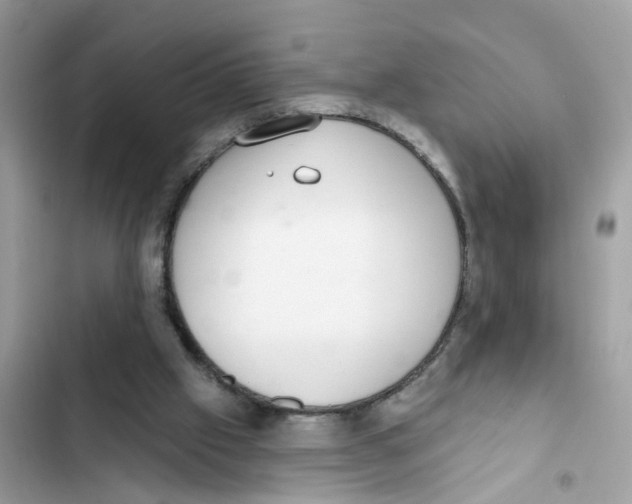 X0000101980057200808151410