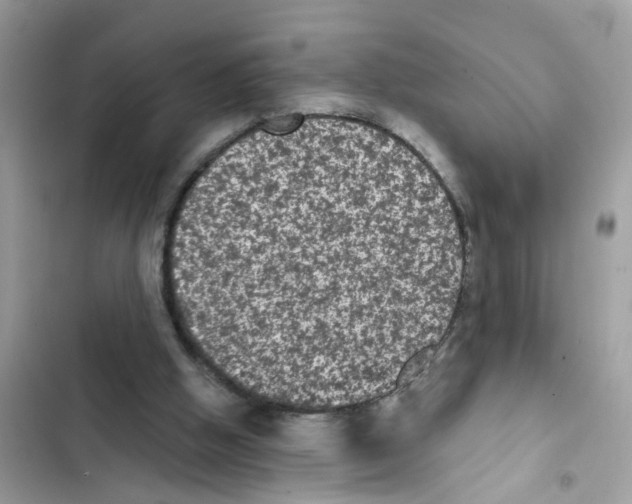 X0000101980058200808151410