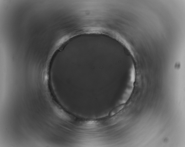 X0000101980059200808151410