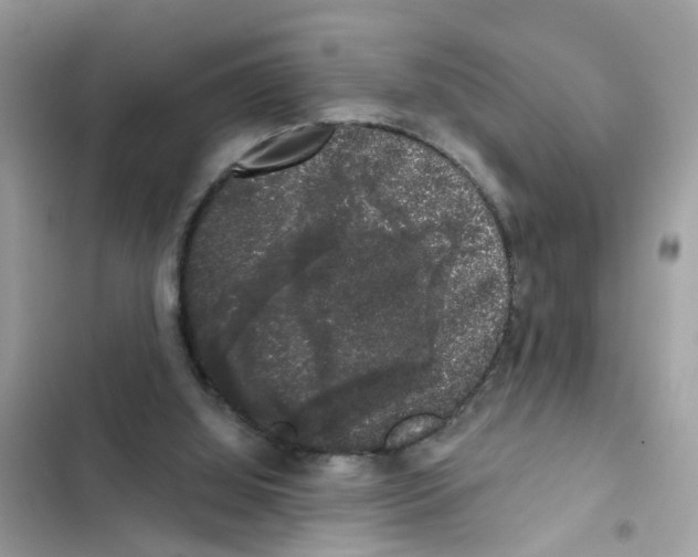 X0000101980060200808151410