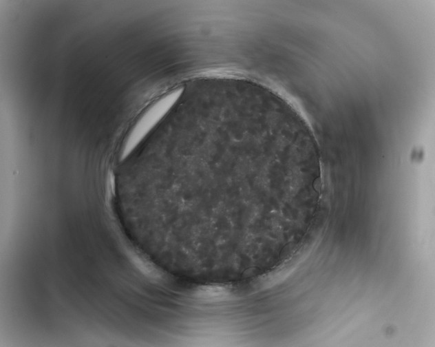 X0000101980061200808151410