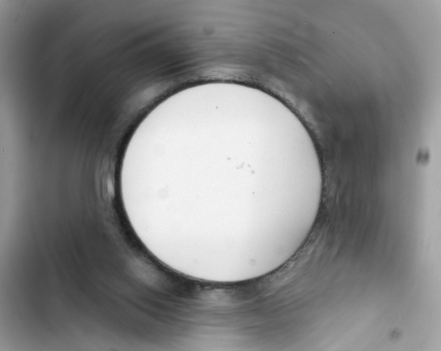 X0000101980062200808151410