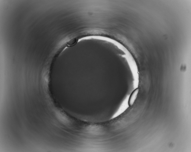 X0000101980063200808151410