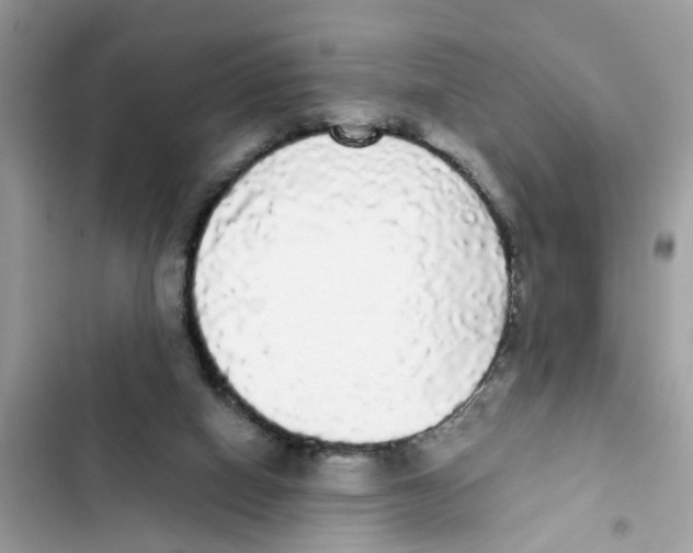 X0000101980066200808151410