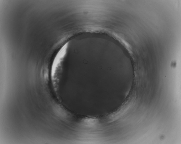 X0000101980067200808151410