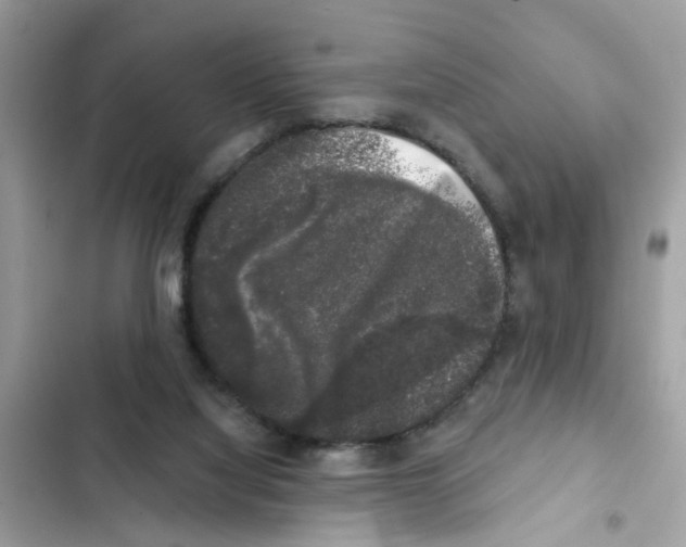 X0000101980068200808151410